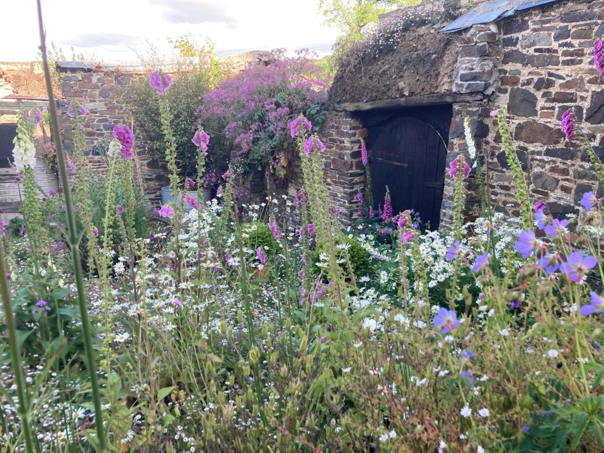 Frizenham Farmhouse Little Torrington Dış mekan fotoğraf
